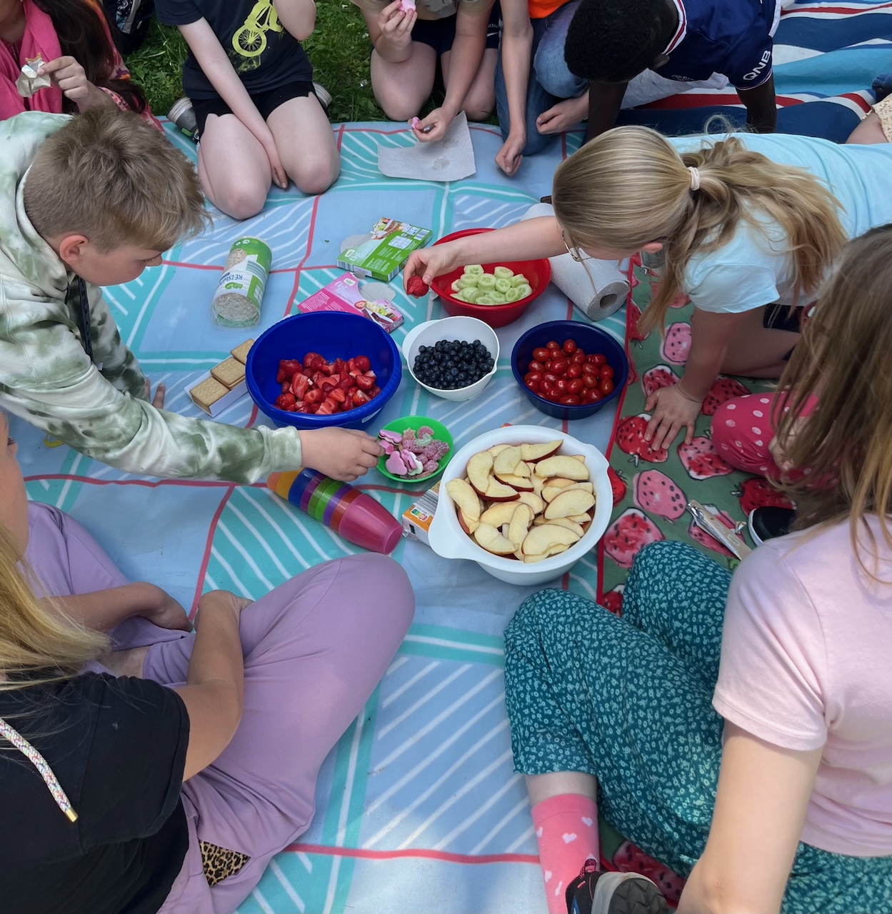 Gemeinsames Picknick mit Obst und Gemüse auf der Wiese