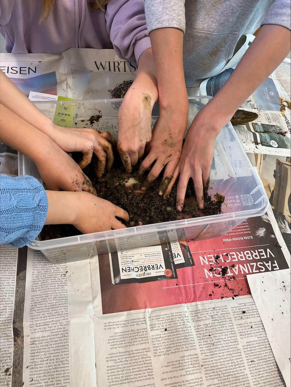 Kinder erkunden mit den Händen eine Kiste mit Erde